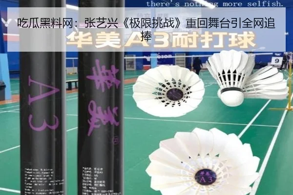 chi-gua-hei-liao-wang-zhang-yi-xing-ji-xian-tiao-zhan-zhong-hui-wu-tai-yin-quan-wang-zhui-peng-2-630.jpg