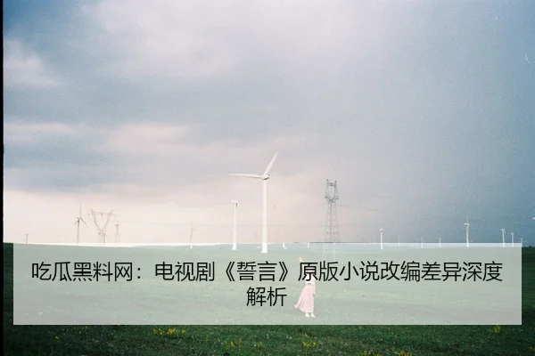 吃瓜黑料网：电视剧《誓言》原版小说改编差异深度解析